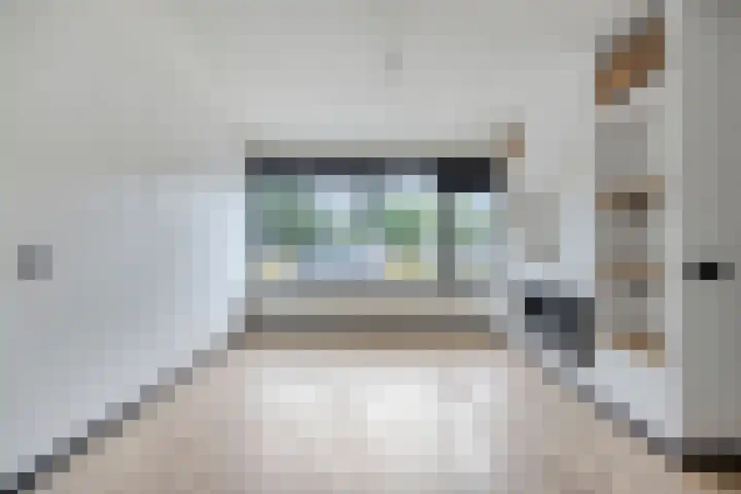 Kasteel Strijenstraat 13 Tilburg thumbnail 11