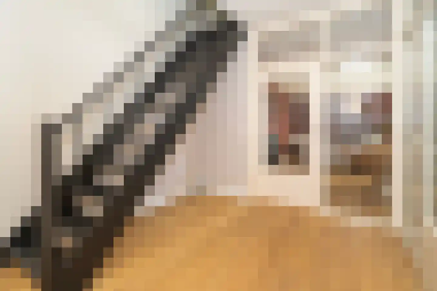 Kasteel Tongelaerstraat 25 Tilburg thumbnail 12