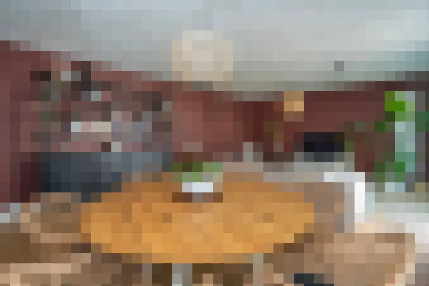 Kasteel Tongelaerstraat 25 Tilburg thumbnail 17
