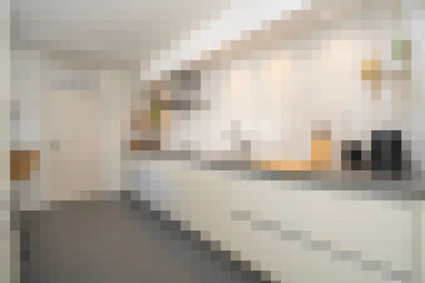 Kasteel Tongelaerstraat 25 Tilburg thumbnail 20