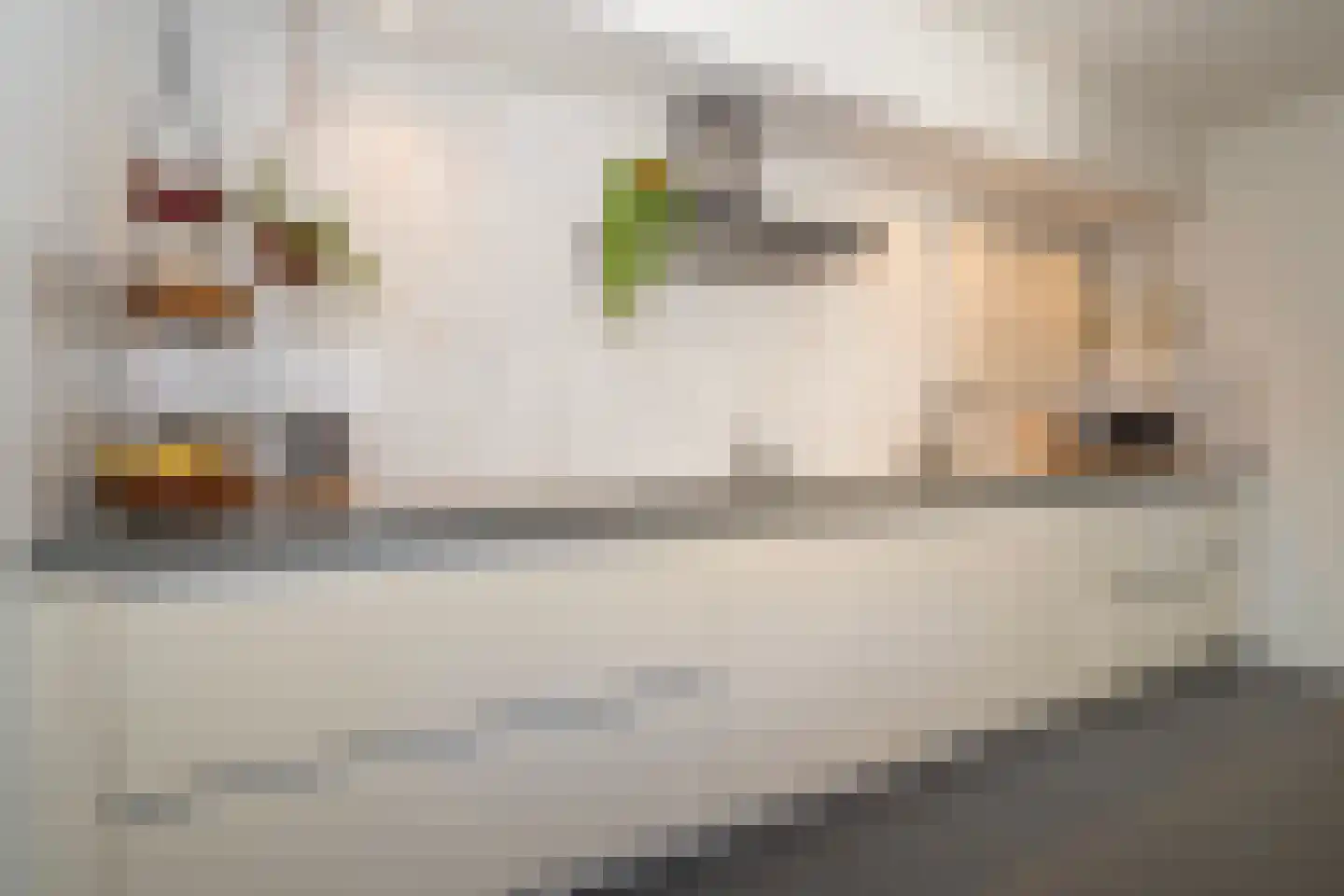 Kasteel Tongelaerstraat 25 Tilburg thumbnail 22