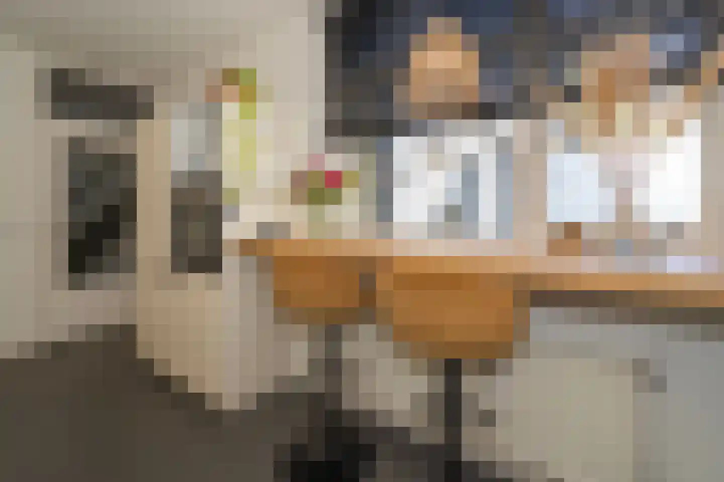Kasteel Tongelaerstraat 25 Tilburg thumbnail 23