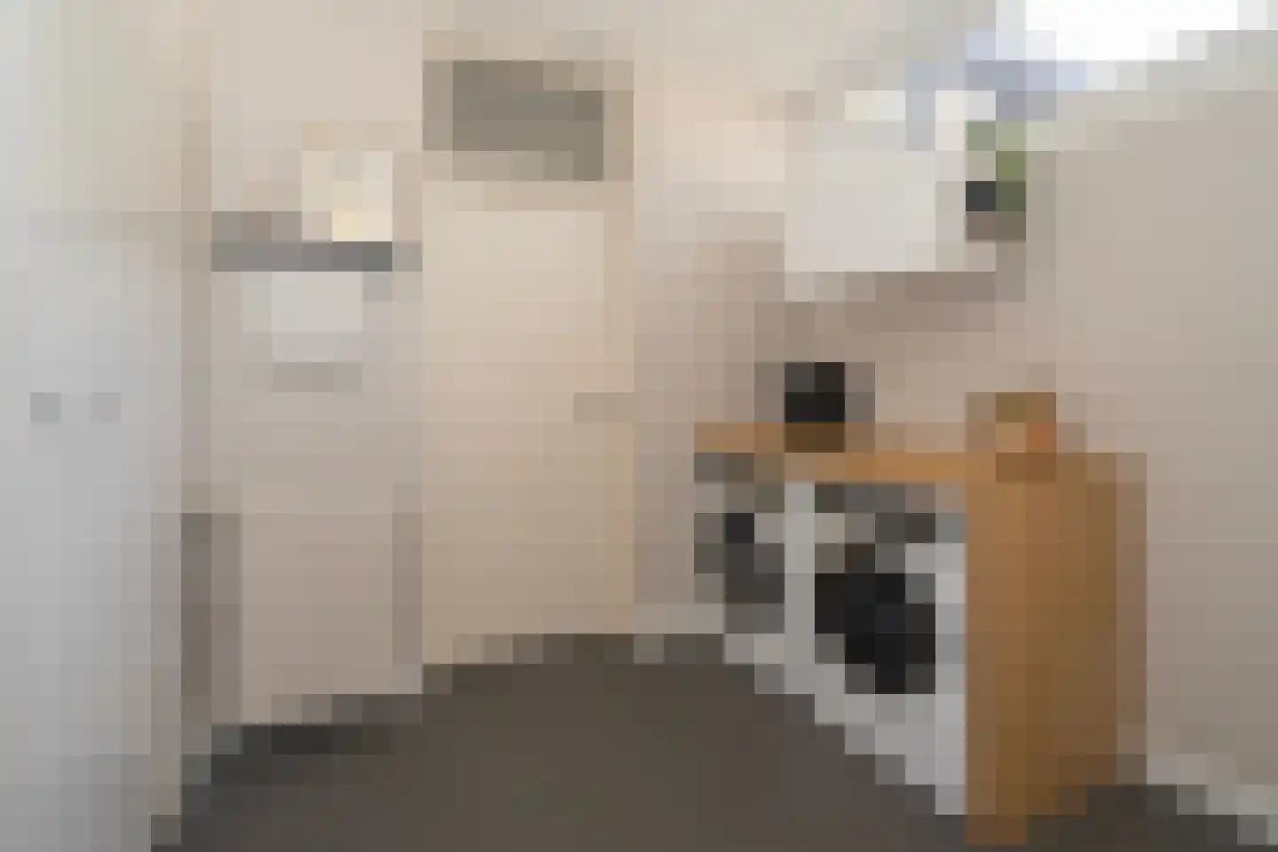 Kasteel Tongelaerstraat 25 Tilburg thumbnail 25