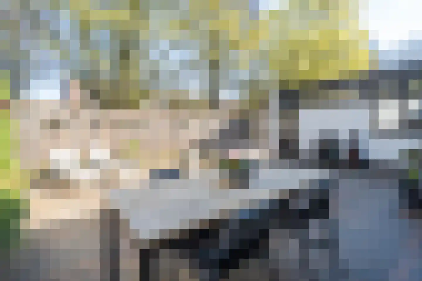 Kasteel Tongelaerstraat 25 Tilburg thumbnail 30