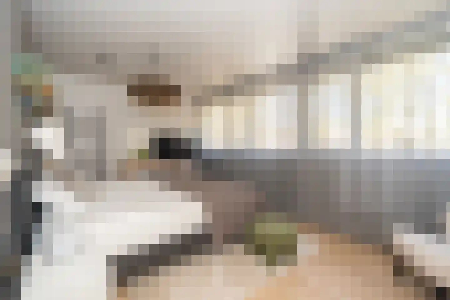 Kasteel Tongelaerstraat 25 Tilburg thumbnail 4