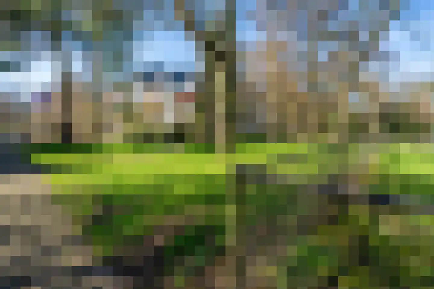 Kasteel Tongelaerstraat 25 Tilburg thumbnail 49