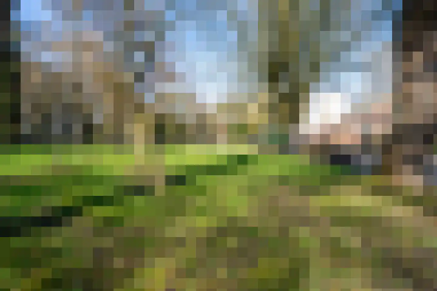 Kasteel Tongelaerstraat 25 Tilburg thumbnail 50