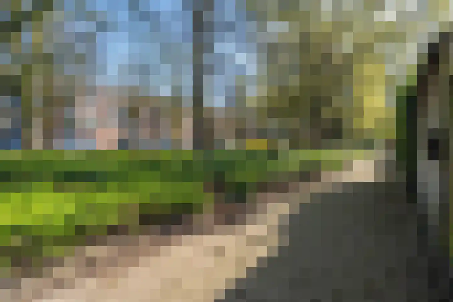 Kasteel Tongelaerstraat 25 Tilburg thumbnail 7