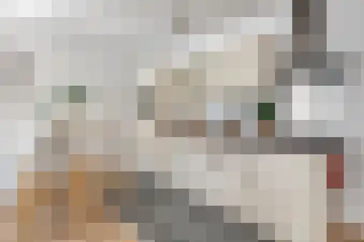 Kasteel-Traverse 112 Helmond thumbnail 16