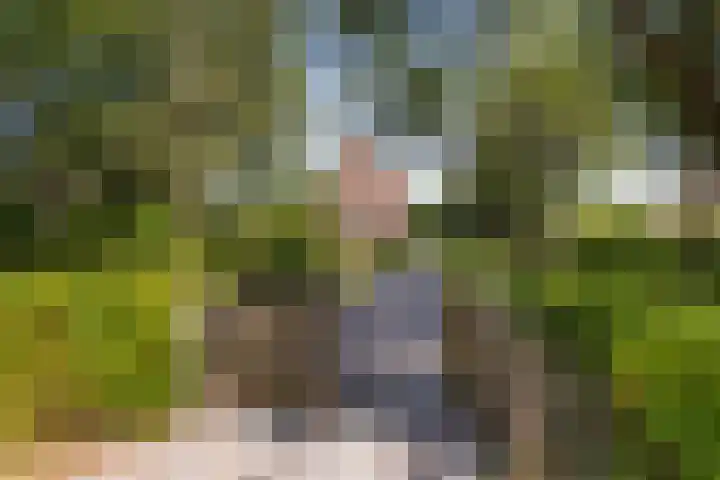 Kasteel-Traverse 130 Helmond thumbnail 28