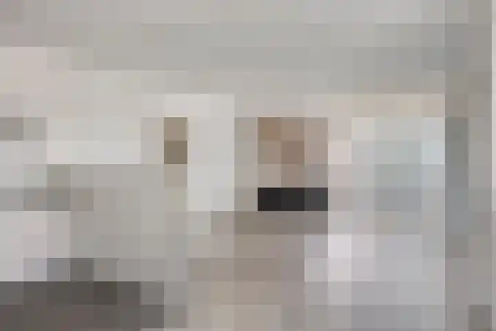 Kasteel-Traverse 160 Helmond thumbnail 18
