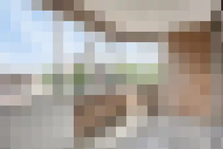 Kasteel-Traverse 160 Helmond thumbnail 19