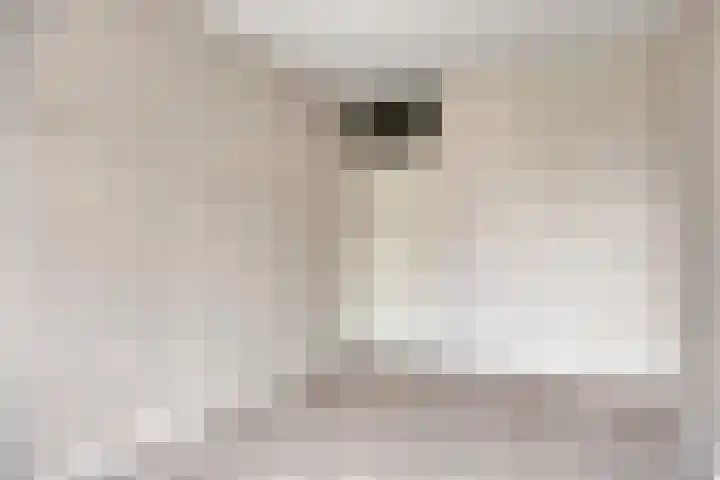 Kasteel-Traverse 160 Helmond thumbnail 26