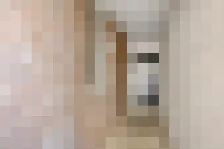 Kasteel-Traverse 160 Helmond thumbnail 29
