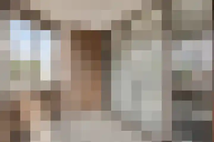 Kasteel-Traverse 160 Helmond thumbnail 5