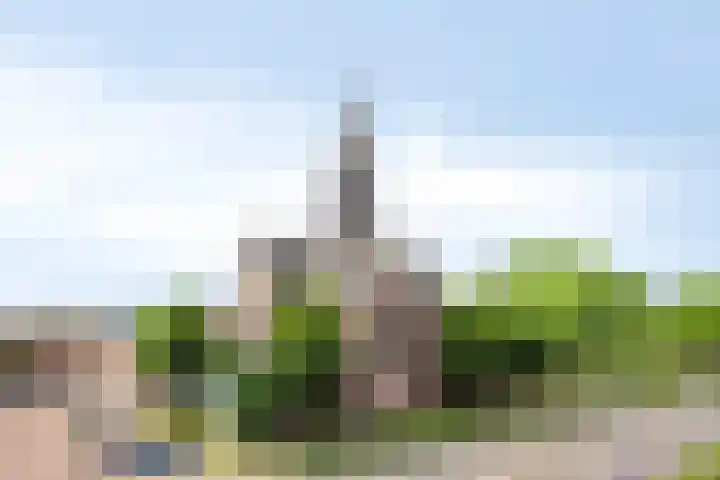 Kasteel-Traverse 160 Helmond thumbnail 6