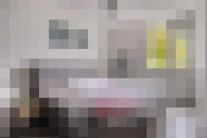 Kasteel-Traverse 162 Helmond thumbnail 23
