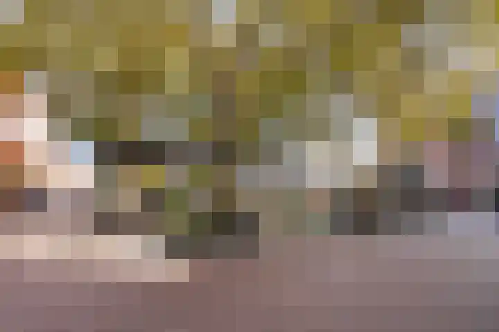 Kasteel-Traverse 162 Helmond thumbnail 32