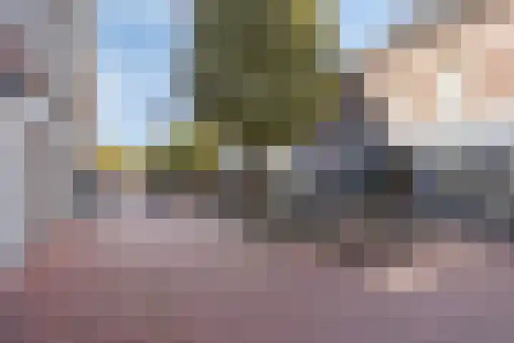 Kasteel-Traverse 162 Helmond thumbnail 33