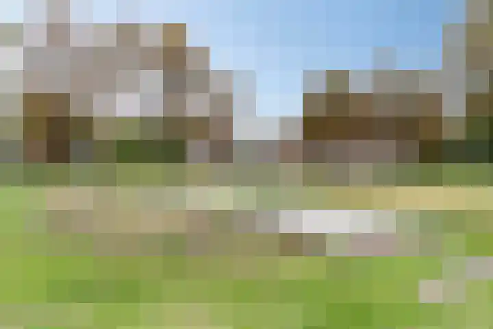 Kasteel-Traverse 162 Helmond thumbnail 37