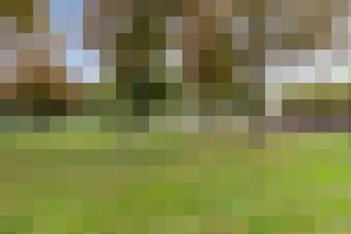Kasteel-Traverse 162 Helmond thumbnail 38