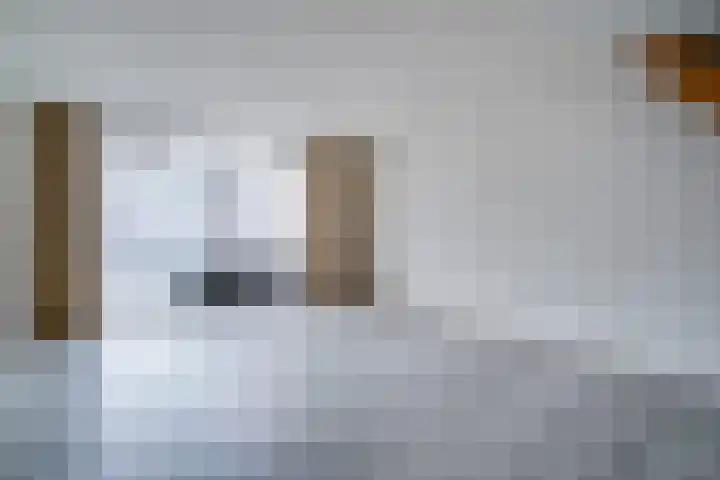 Kasteel-Traverse 194 Helmond thumbnail 10