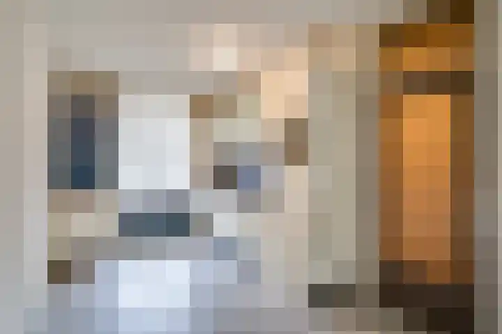 Kasteel-Traverse 194 Helmond thumbnail 17