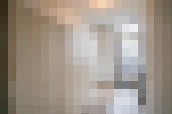 Kasteel-Traverse 194 Helmond thumbnail 28