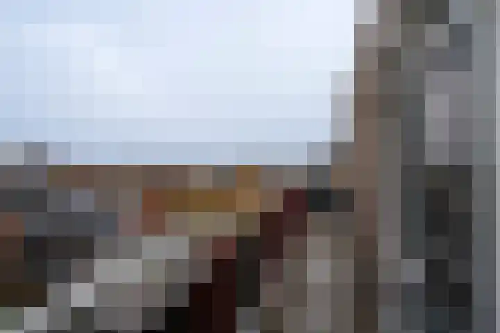 Kasteel-Traverse 194 Helmond thumbnail 30