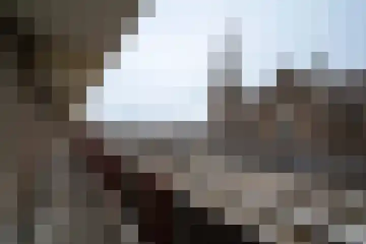 Kasteel-Traverse 194 Helmond thumbnail 5