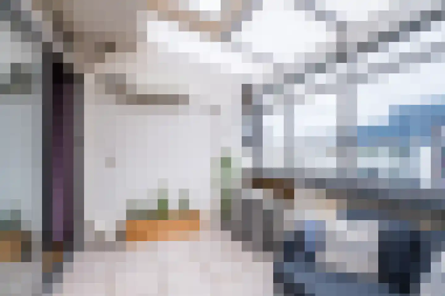 Kasteel-Traverse 198 Helmond thumbnail 15