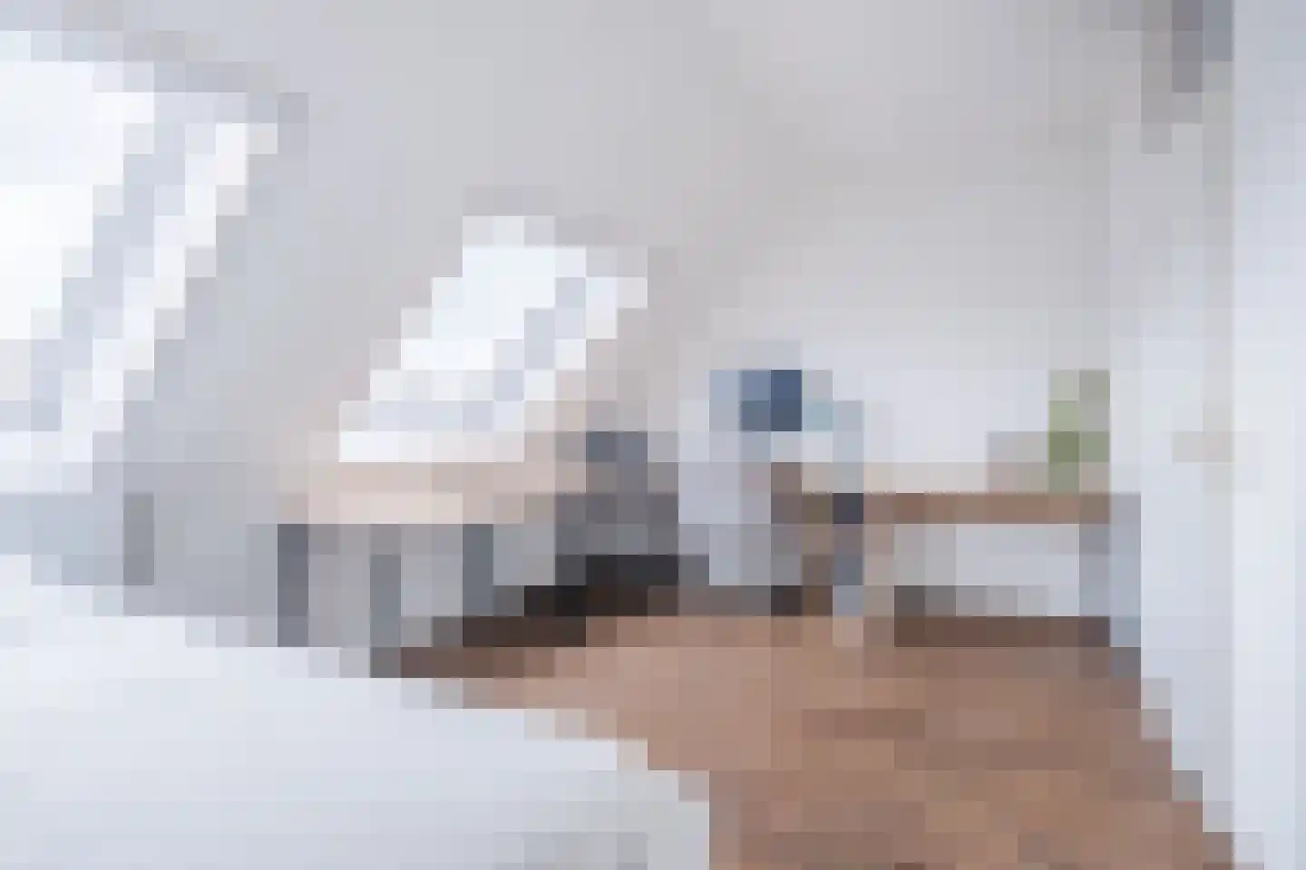 Kasteel-Traverse 198 Helmond thumbnail 22