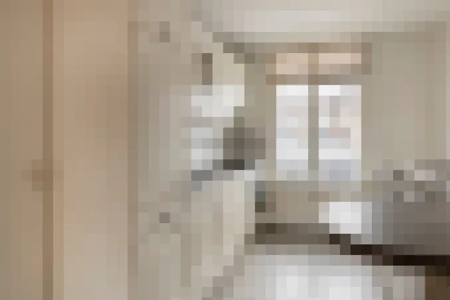 Kasteel-Traverse 206 Helmond thumbnail 14