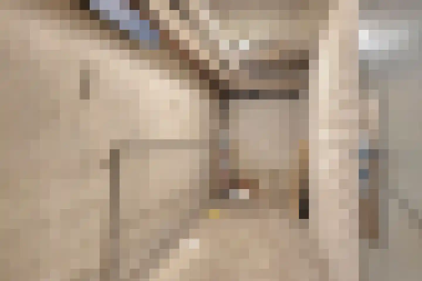 Kasteel-Traverse 206 Helmond thumbnail 29