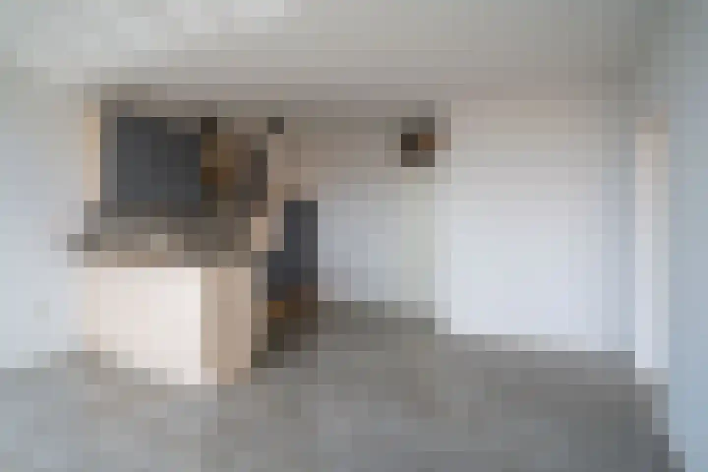 Kasteel-Traverse 208 Helmond thumbnail 12