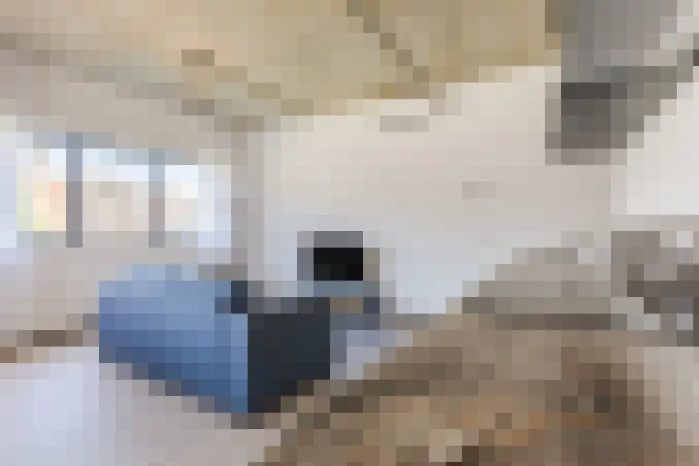 Kasteel-Traverse 84 K Helmond thumbnail 8