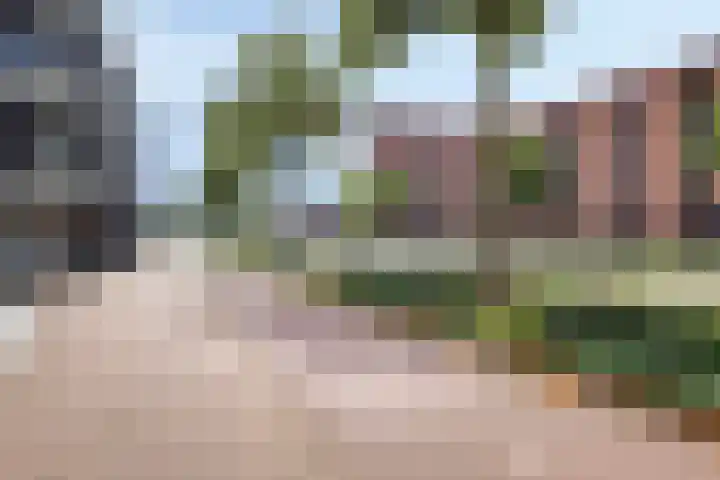 Kasteel-Traverse 86 Helmond thumbnail 24