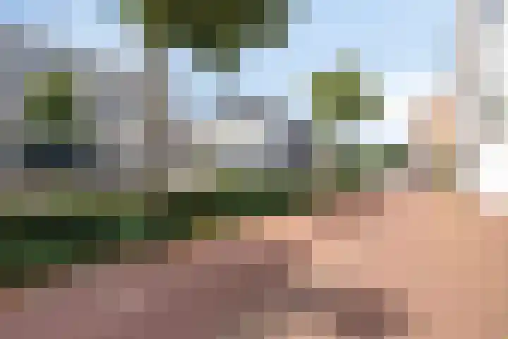 Kasteel-Traverse 86 Helmond thumbnail 25