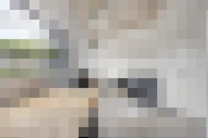 Kasteel-Traverse 86 Helmond thumbnail 4