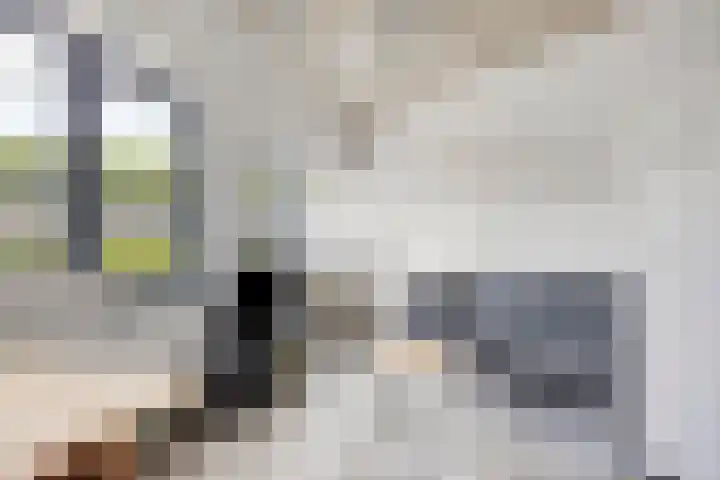 Kasteel-Traverse 86 Helmond thumbnail 5