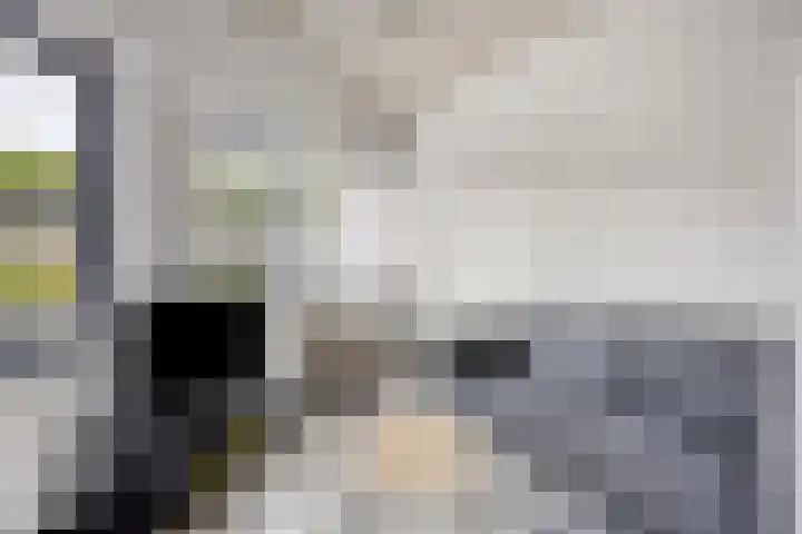 Kasteel-Traverse 86 Helmond thumbnail 6