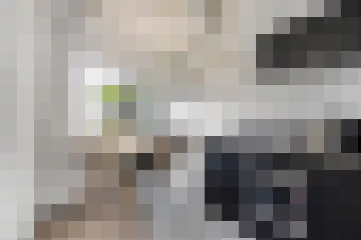 Kasteel-Traverse 86 Helmond thumbnail 9
