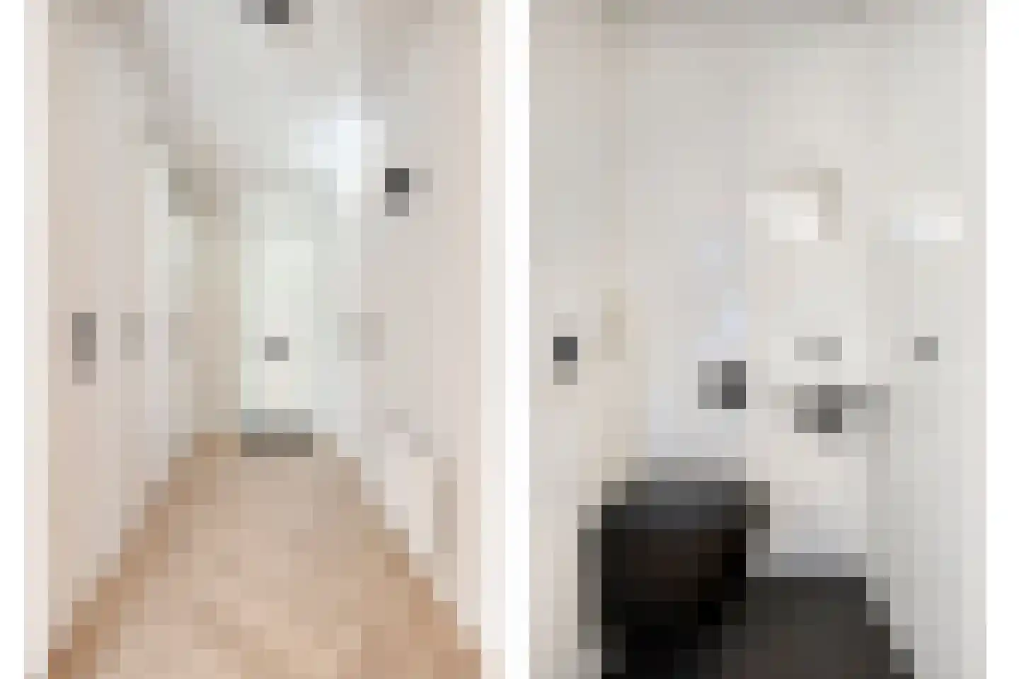 Kasteel-Traverse 91 Helmond thumbnail 13