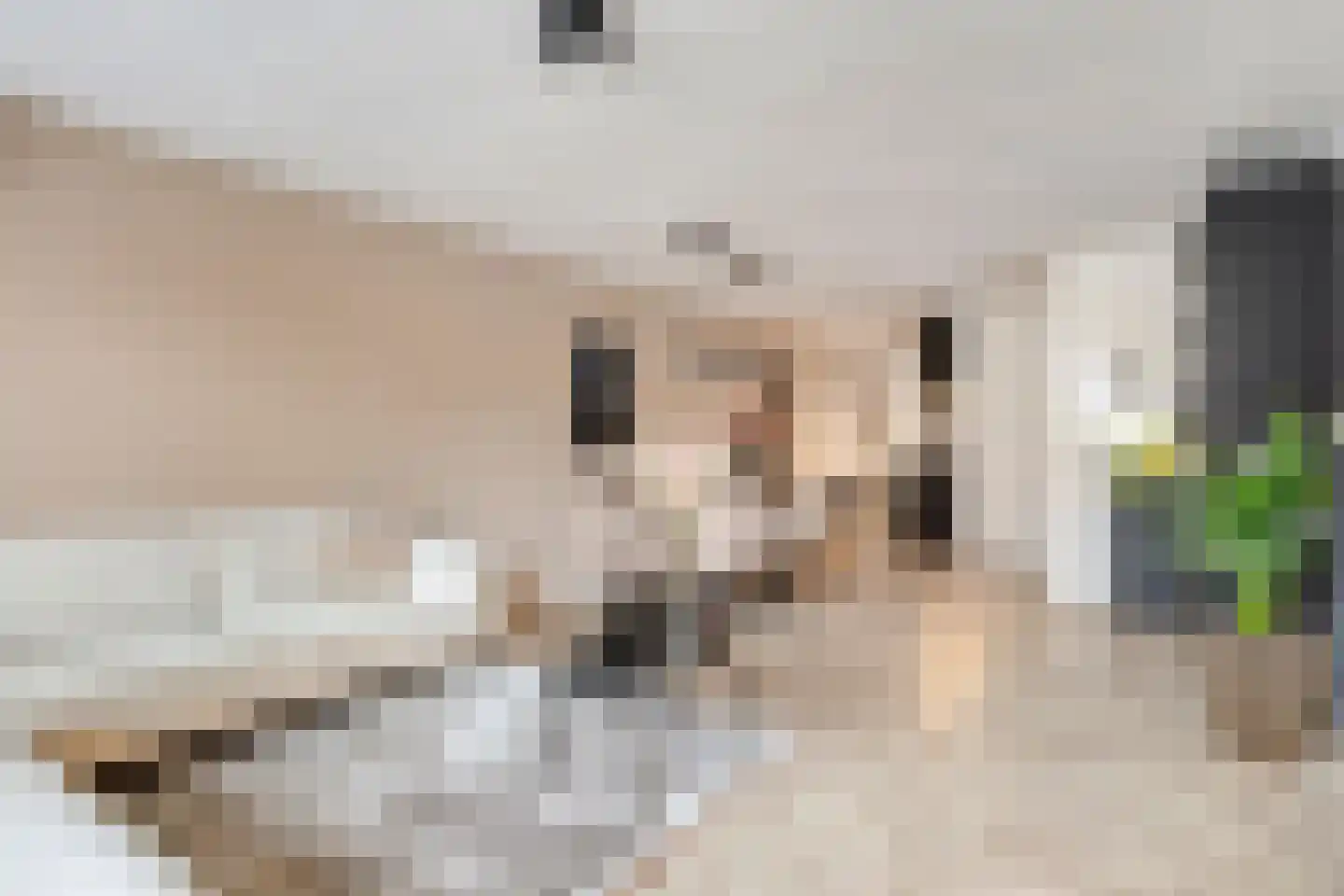 Kasteel-Traverse 91 Helmond thumbnail 17