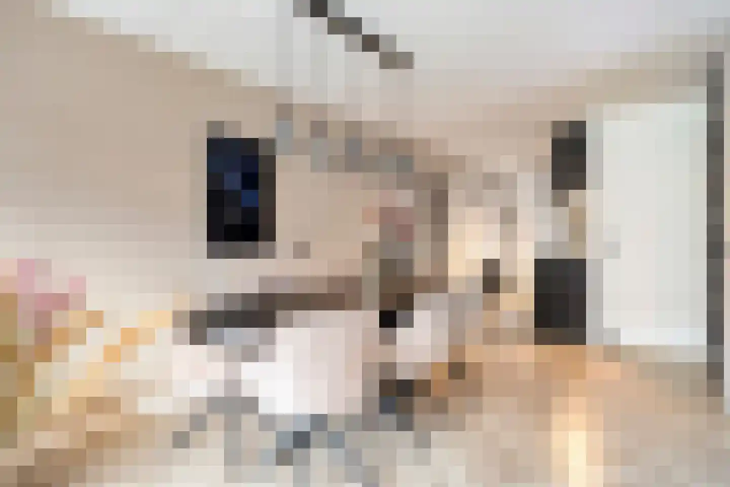 Kasteel-Traverse 91 Helmond thumbnail 18