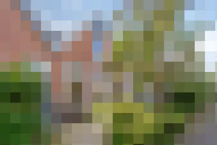 Kasteel-Traverse 95 Helmond thumbnail 11