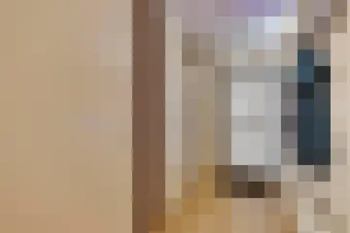 Kasteel-Traverse 95 Helmond thumbnail 13
