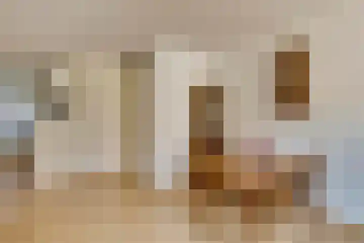 Kasteel-Traverse 95 Helmond thumbnail 20