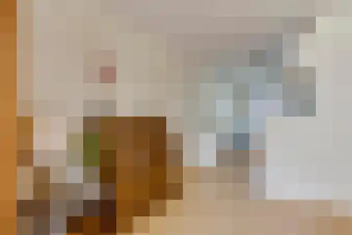 Kasteel-Traverse 95 Helmond thumbnail 22