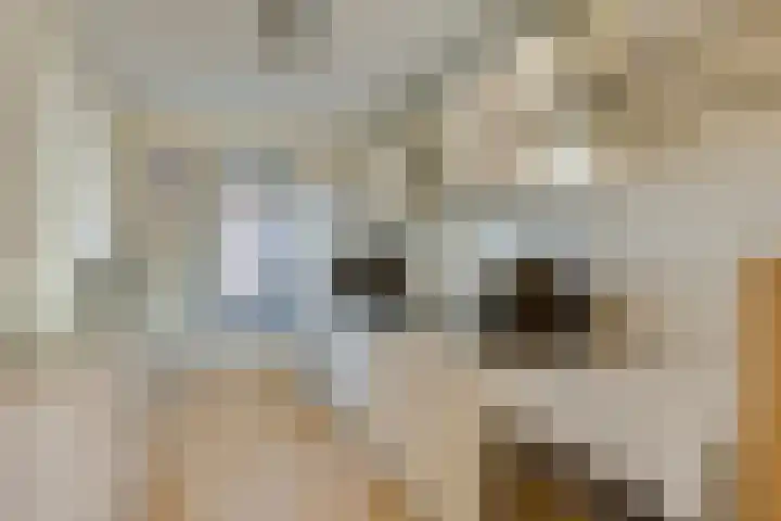 Kasteel-Traverse 95 Helmond thumbnail 23